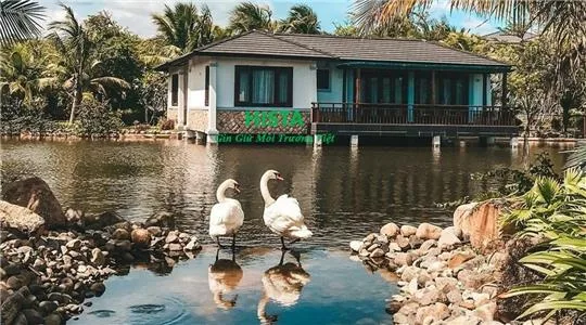 Bài viết tin tức 5